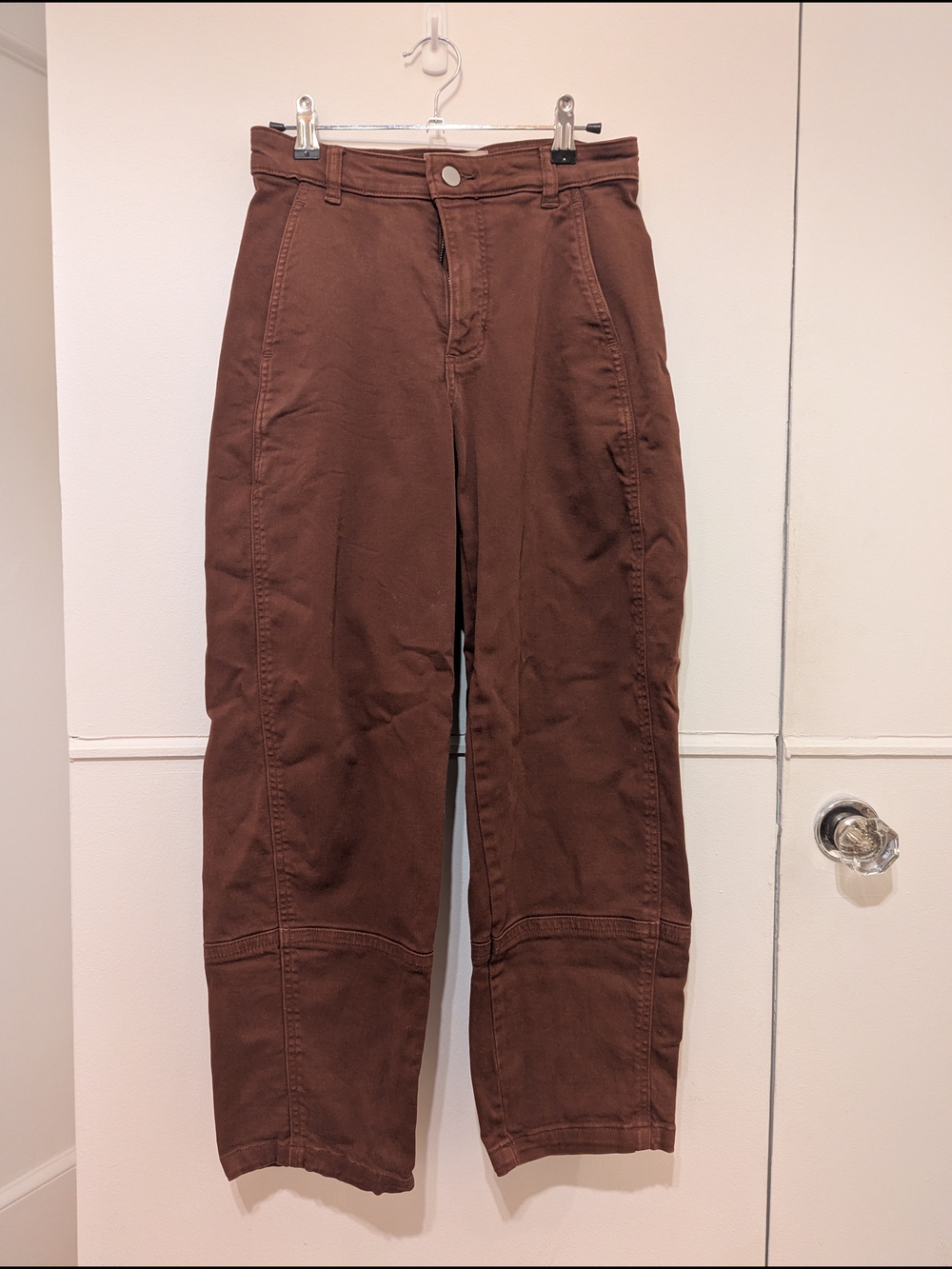 Everlane Utility Barrel Pants in Brown